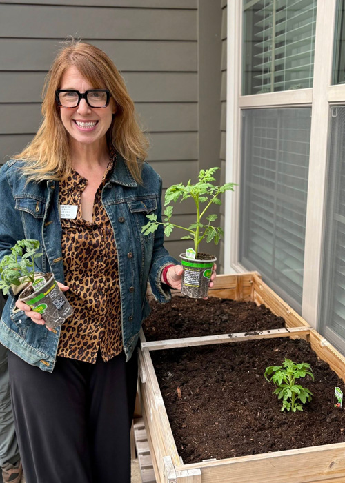 Smiling team member holds young vegetable plants beside a raised garden bed filled with fresh soil, ready for spring planting.