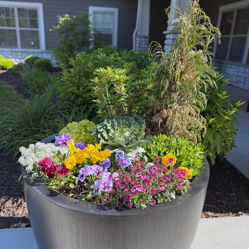 A large planter filled with a variety of flowers in many colors and tall plants.